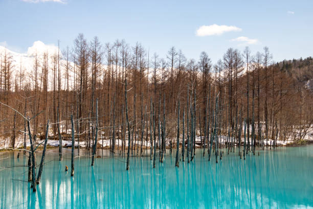 istock Snow-capped mountains and blue pond in Biei 1368332080