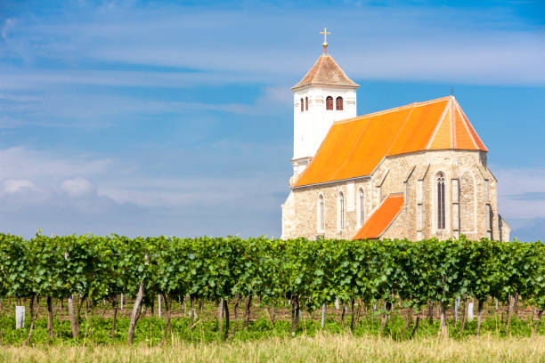 istock church with vineyard, Kirchenberg, Lower Austria, Austria 1368337294