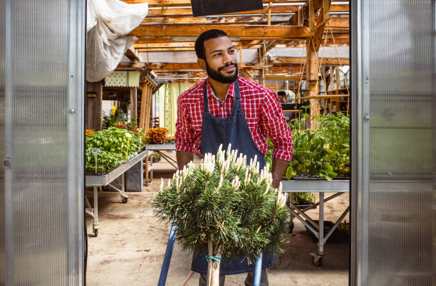 istock Garden center employee at work 1368350982
