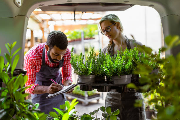 istock Garden center workers transporting plants in a van 1368351076