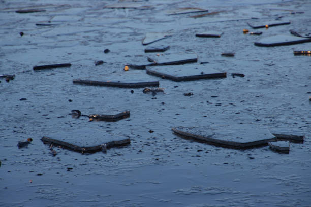 Ice floe lying on a frozen lake for winter background