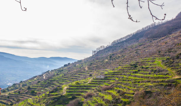 istock Jerte Valley on winter, Caceres, Spain 1368352283