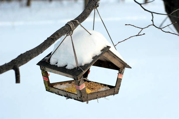 istock bird feeder on a tree in a winter park 1368352653
