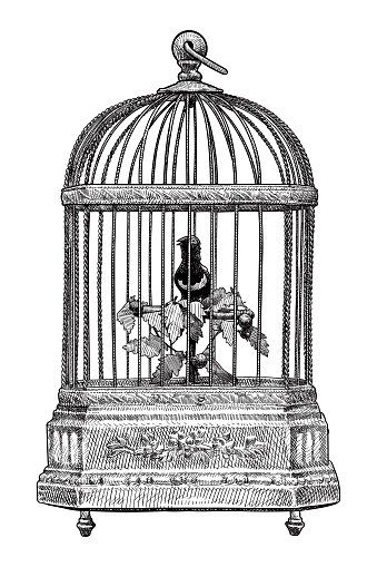 Engraving style illustration of an old music box made in shape of a cage with singing bird inside.