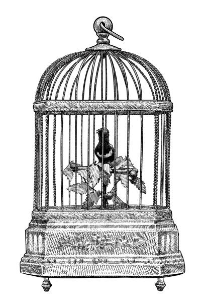 vector drawing of vintage bird in a cage music box - 鳥籠 幅插畫檔、美工圖案、卡通及圖標
