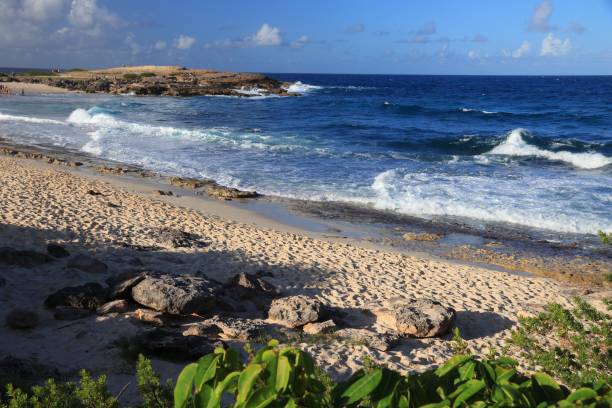 istock Guadeloupe beach - Anse des Chateaux 1368353568