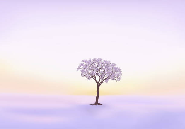 ilustraciones, imágenes clip art, dibujos animados e iconos de stock de al amanecer, un árbol perdido en medio de un paisaje nevado. - loneliness backgrounds beauty beauty in nature