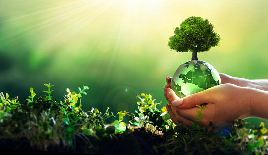 Hands holding crystal earth globe and growing tree.Earth Day and Arbor day concept. Environment, save clean planet, ecology