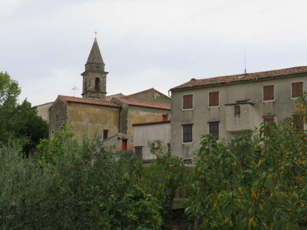 istock Town of Motovun 1368355085