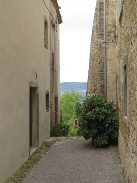 istock small alley in Motovun 1368355190