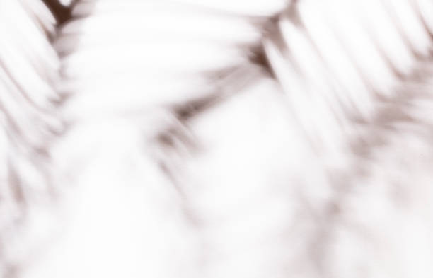 istock Palm leaves and shadows on a color wall background. 1368359163