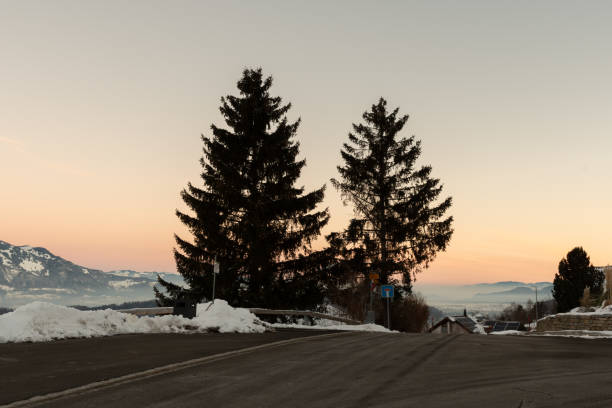 Planken, Liechtenstein, January 13, 2022 Morning scenery with trees and snow