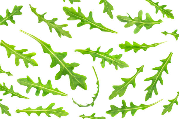istock Ruccola leaf isolated on white background, fresh green arugula leaves collection top view. Pattern