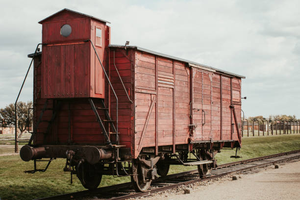 Auschwitz Train used to transport victims inside of Auschwitz-Birkenau extermination camp. book title stock pictures, royalty-free photos & images