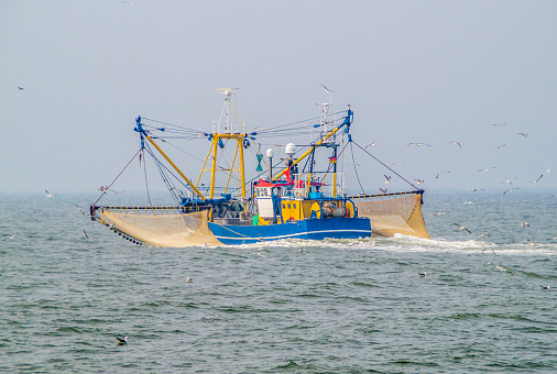 Shrimp cutter on the North Sea