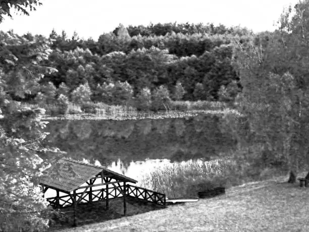 Dense forest reflection with equiped roof and wooden railing pontoon wooden charpentry shelter outdoors foreground.