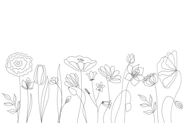 siluet bunga liar dari garis-garis sederhana pada latar belakang putih. - musim semi ilustrasi stok