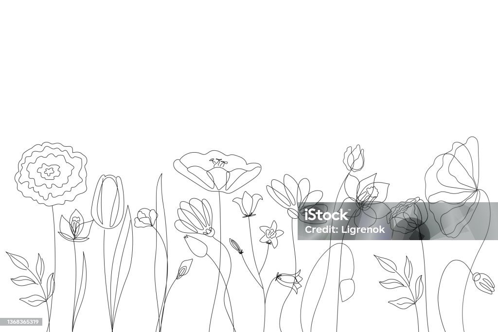 흰색 배경에 간단한 라인에서 야생 꽃의 실루엣. - 로열티 프리 꽃-식물 벡터 아트