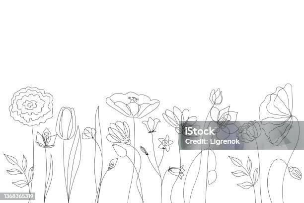 흰색 배경에 간단한 라인에서 야생 꽃의 실루엣 꽃-식물에 대한 스톡 벡터 아트 및 기타 이미지 - 꽃-식물, 라인아트, 봄