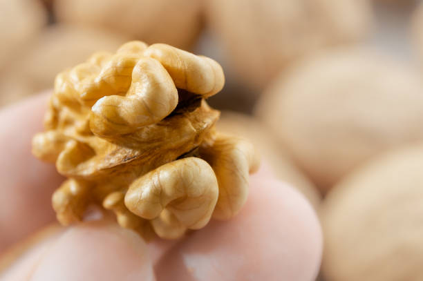 Close-up of peeled walnut. High quality photo
