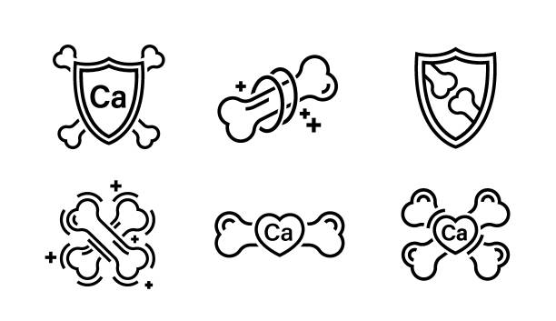 zestaw ikon mocnych zdrowych kości. kolekcja piktogramów medycznych zdrowia ludzkiego. - kość stock illustrations