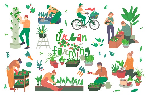 Urban farming, gardening. Flat characters. Editable vector illustration in modern style on a white background. Future environment, agrotourism, agriculture, ecology concept. Colorful graphic design