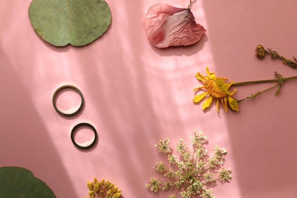 istock Wedding Rings and Pressed Flowers 1368372777