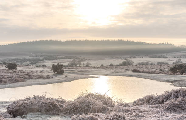 istock New Forest frozen pond and view, Jan 22 1368374787