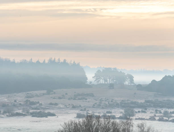 istock New Forest frost and mist Jan 22 1368374808