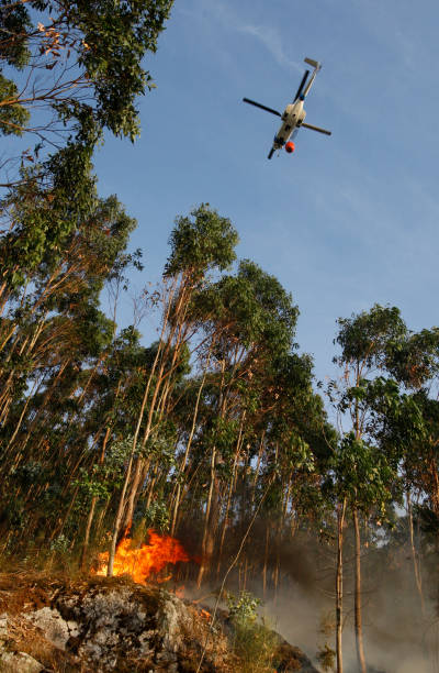 istock A firefighting helicopter tries to put out the fire of a forest fire 1368376649