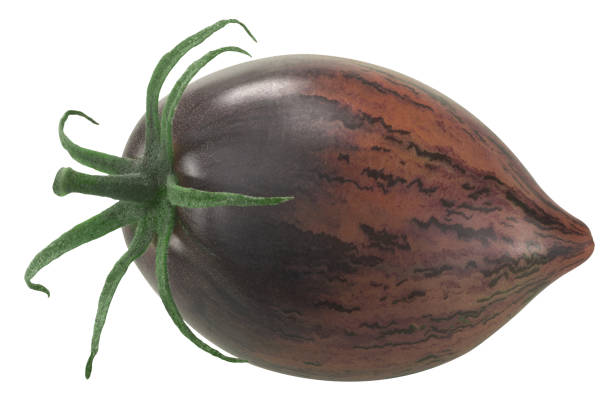 Rebel Starfighter Prime  heirloom tomato isolated