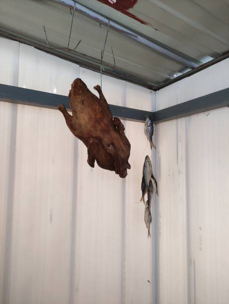 istock Smoked duck hanging under the ceiling in the pantry 1368380156