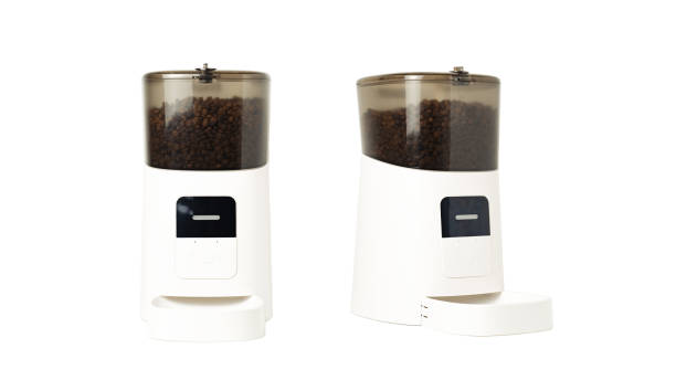 Automatic pet food dispenser isolated