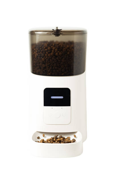 istock Automatic pet food dispenser isolated 1368381265