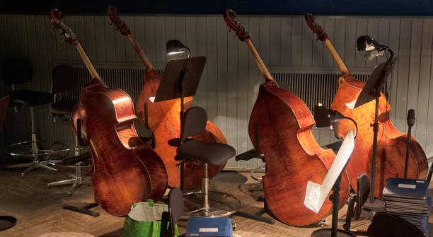 istock double bass in the orchestra pit before a concert 1368385270
