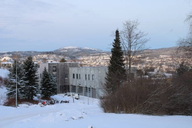 istock Cityscape in winter time 1368385910