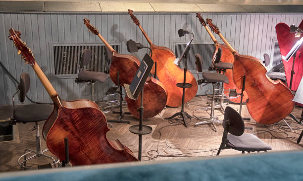 istock double bass in the orchestra pit before a concert 1368386000