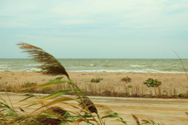 Storm on the sea. Background. Landscape.