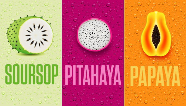 Banners with soursop, papaya,  and many fresh juice drops Banners with soursop, papaya,  and many juice drops annona muricata stock illustrations