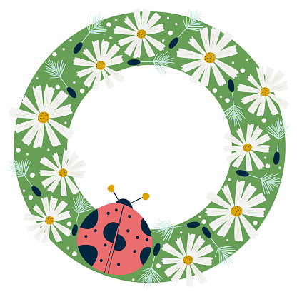 Frame round spring with ladybug and chamomile flowers isolated on white background.Chamomile and insects with dandelions on a green background. Vector illustration in flat style.