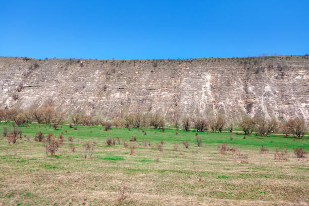 istock Natural reserve with meadow and hill 1368397133
