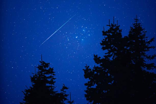 istock Tree silhouettes, Milky way and shooting stars on a vivid night 1368399772