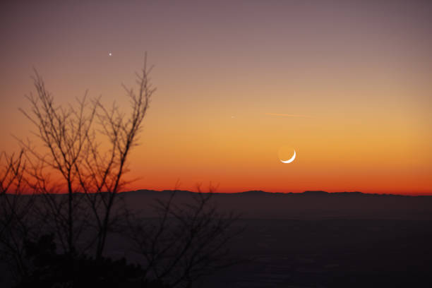 istock Tree silhouettes, stars and Moon on a vivid sky. 1368399784