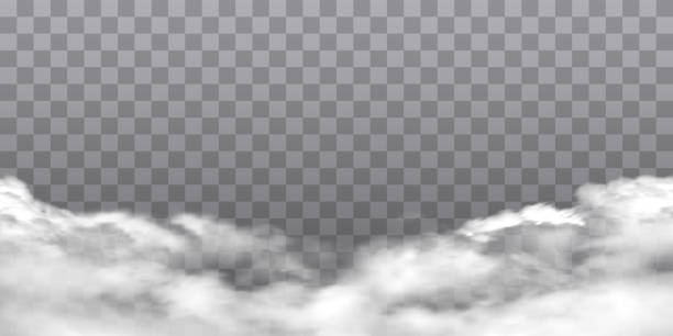ilustrações, clipart, desenhos animados e ícones de textura de neblina branca isolada em fundo transparente. efeito especial a vapor. fumaça de fogo vetorial realista ou névoa png - vapor da respiração