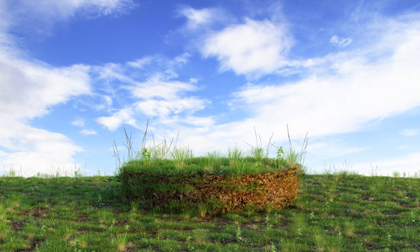 podio erboso con sfondo blu cielo chiaro per la pubblicità dei prodotti. natura e concetto di oggetto. rendering di illustrazioni 3d - travel nature rural scene outdoors foto e immagini stock