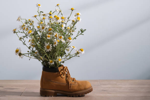istock Bouquet of white chamomile daisy flowers in a brown boot. 1368404803
