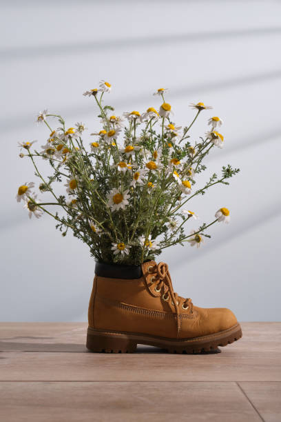 istock Bouquet of white chamomile daisy flowers in a brown boot. 1368404818