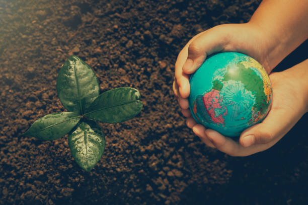 istock Hand holding a green globe of planet Earth and a growing tree. 1368405165