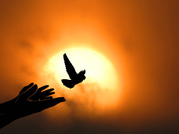 istock birds flying for freedom from an open hand, freedom concept, the bird released from the hand, bird set free, hope concept. 1368406345