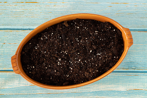 Organic natural humus soil filling a clay pot in oval shape for prepared for sowing seeds isolated on a blue wooden background. Home gardening concept. Top view.